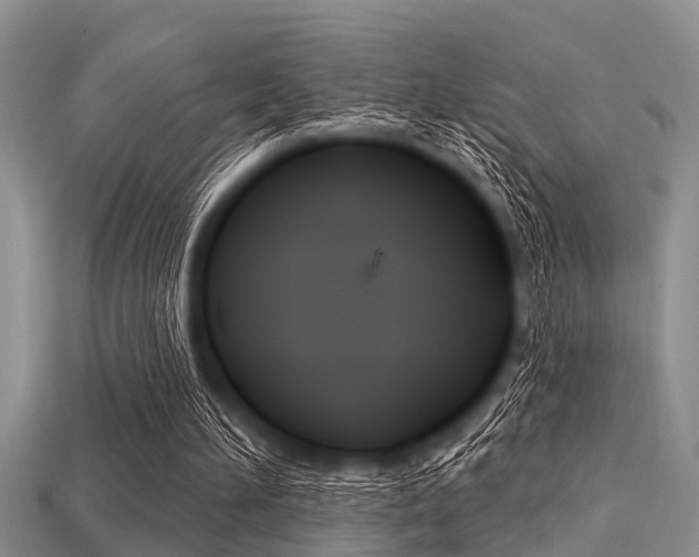 X0000113300196200909140952