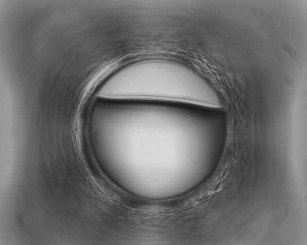 X0000113300197200909140952