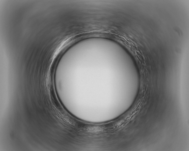 X0000113300198200909140952