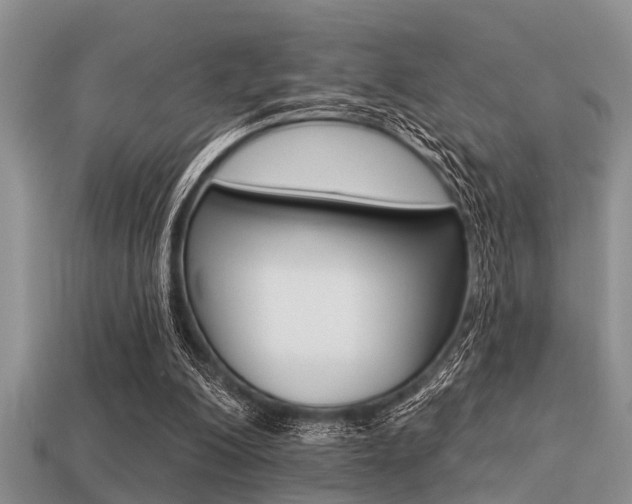 X0000113300200200909140952