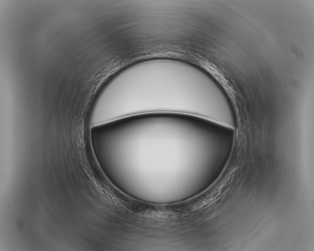 X0000113300201200909140952