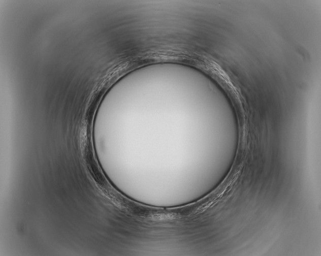 X0000113300202200909140952