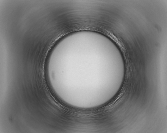 X0000113300203200909140952
