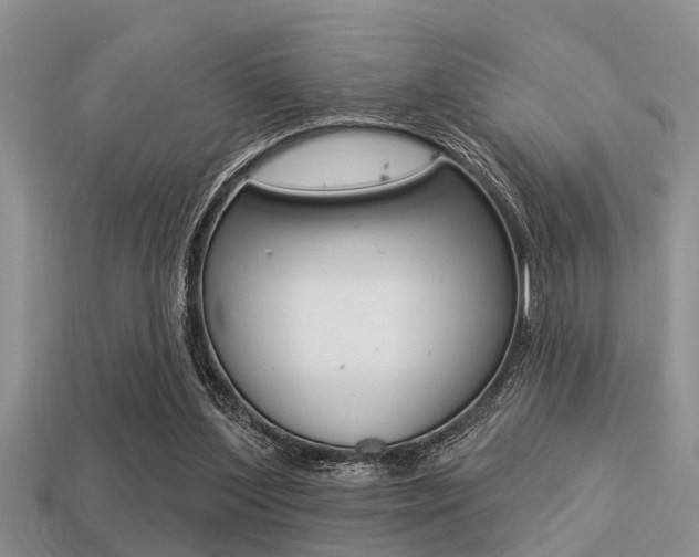 X0000113300204200909140952