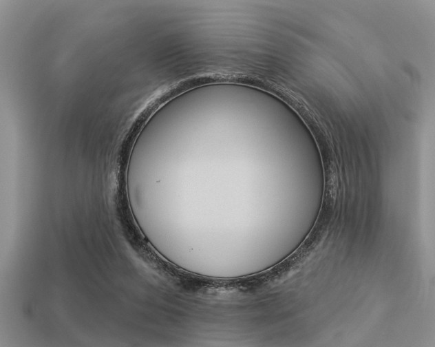 X0000113300208200909140952