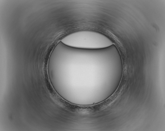 X0000113300209200909140952