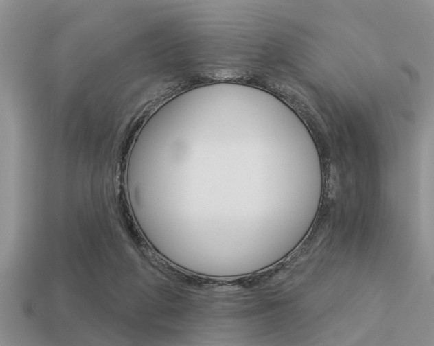 X0000113300210200909140952