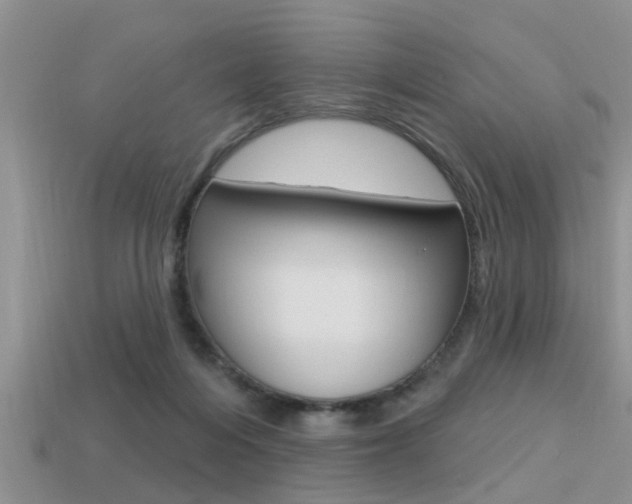 X0000113300216200909140952