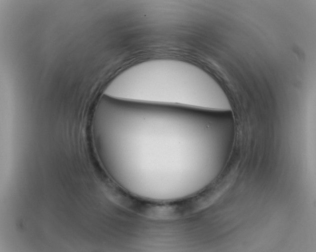 X0000113300217200909140952