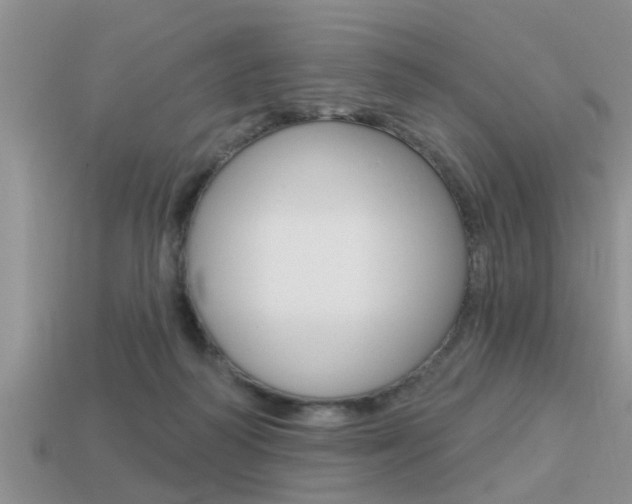 X0000113300218200909140952