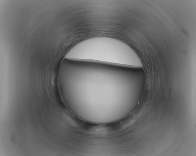 X0000113300219200909140952