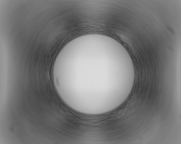 X0000113300221200909140952
