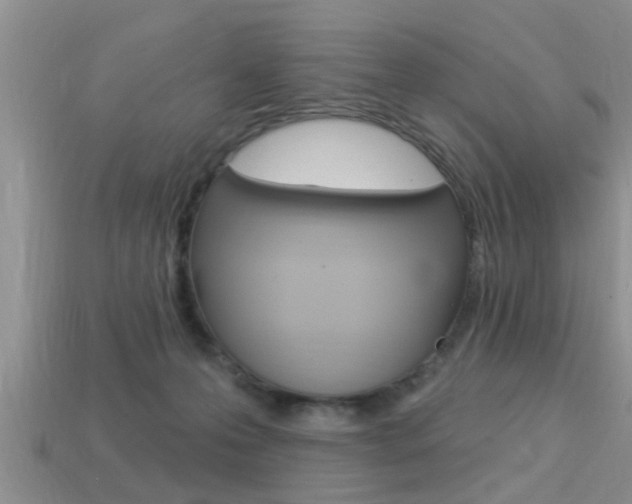 X0000113300223200909140952