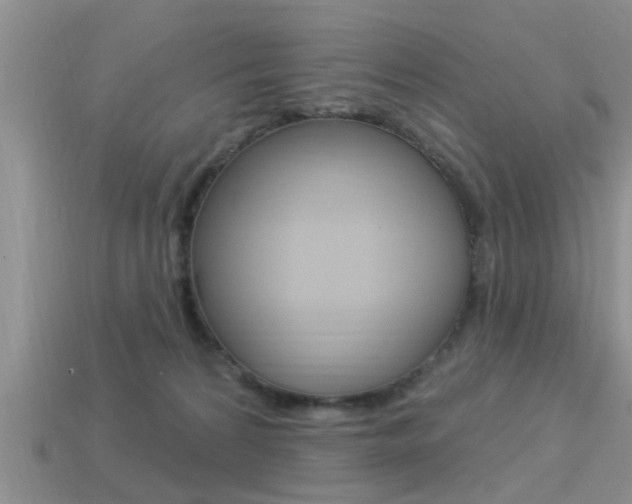 X0000113300224200909140952