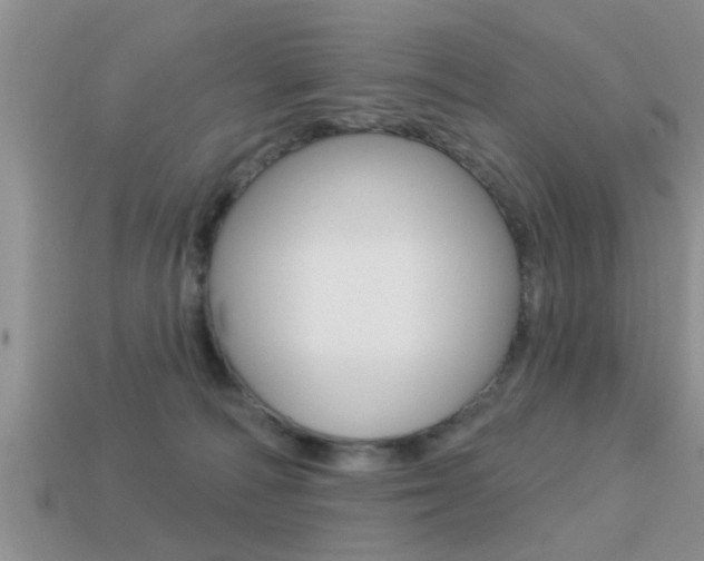 X0000113300226200909140952