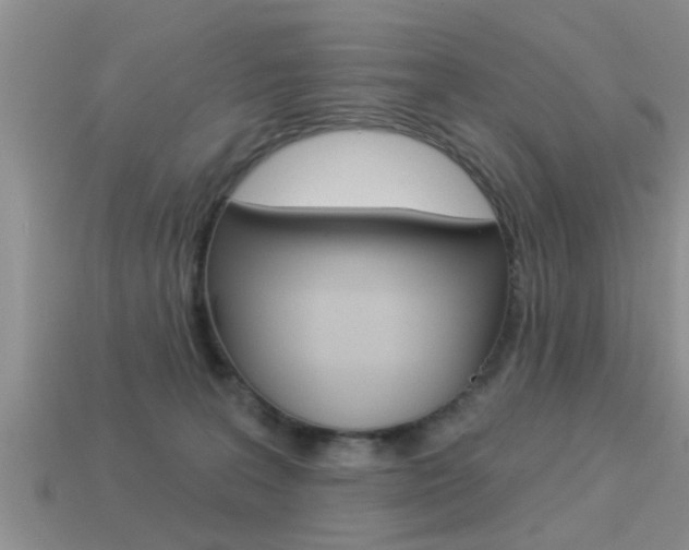 X0000113300227200909140952