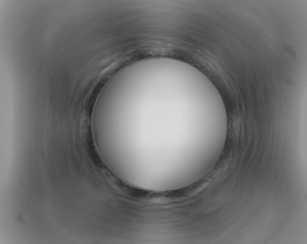 X0000113300228200909140952