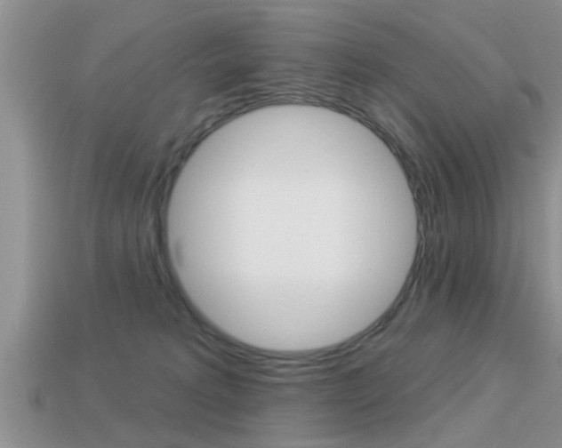 X0000113300229200909140952