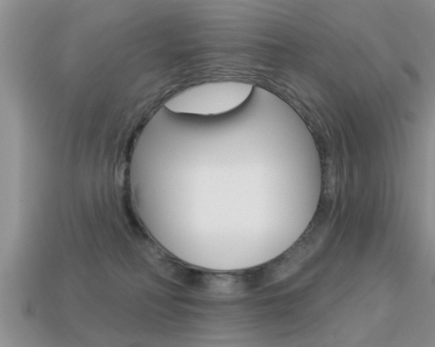 X0000113300230200909140952