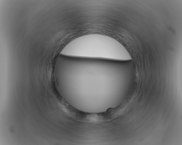 X0000113300231200909140952