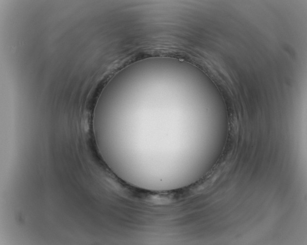 X0000113300232200909140952