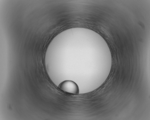 X0000113300233200909140952