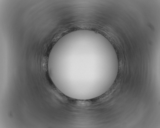 X0000113300234200909140952