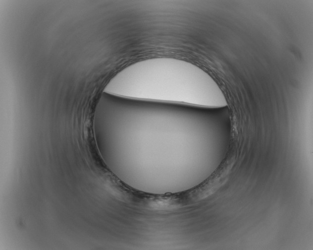 X0000113300235200909140952