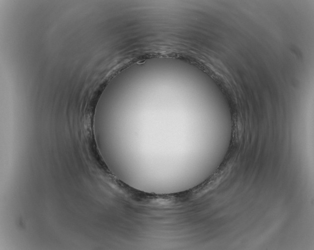 X0000113300236200909140951