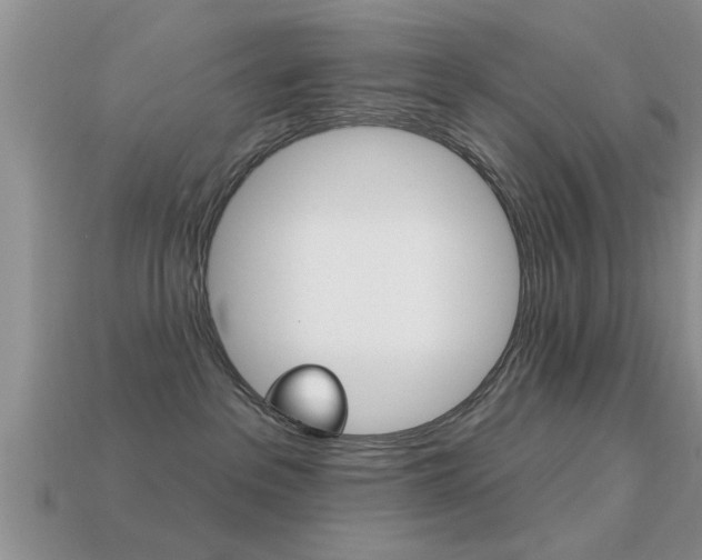 X0000113300237200909140951