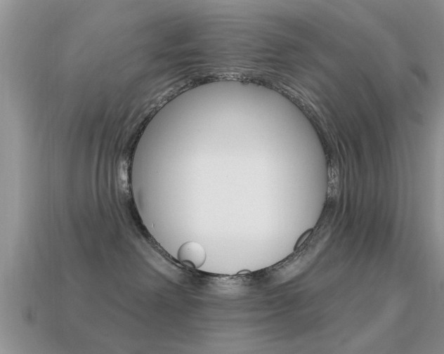X0000113300238200909140951