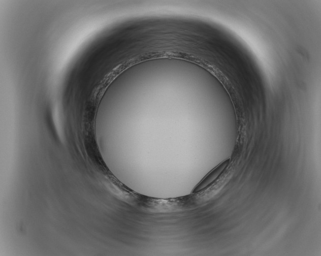 X0000113300239200909140951