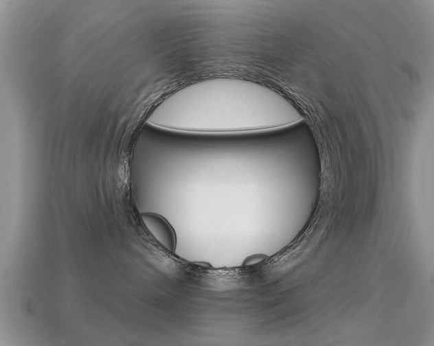 X0000113300240200909140951