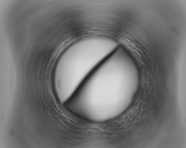 X0000113300241200909140951