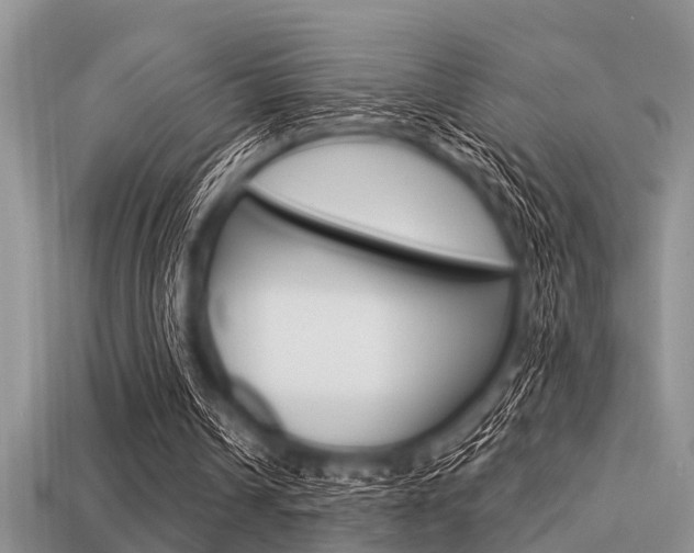 X0000113300242200909140951