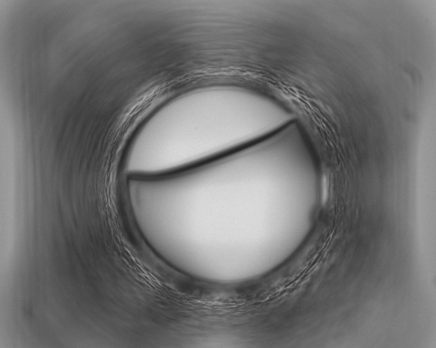 X0000113300243200909140951