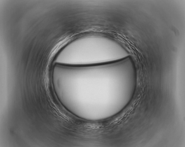 X0000113300245200909140951