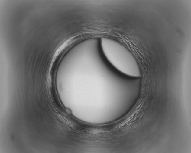 X0000113300246200909140951