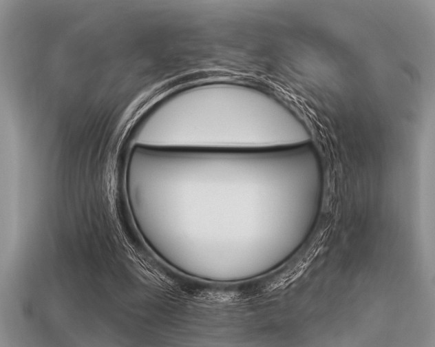X0000113300247200909140951