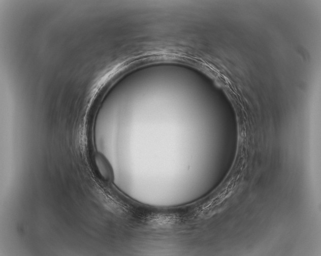 X0000113300248200909140951