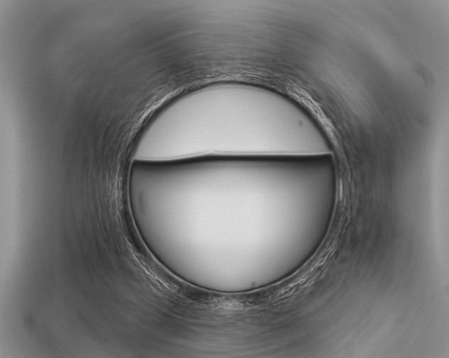 X0000113300249200909140951