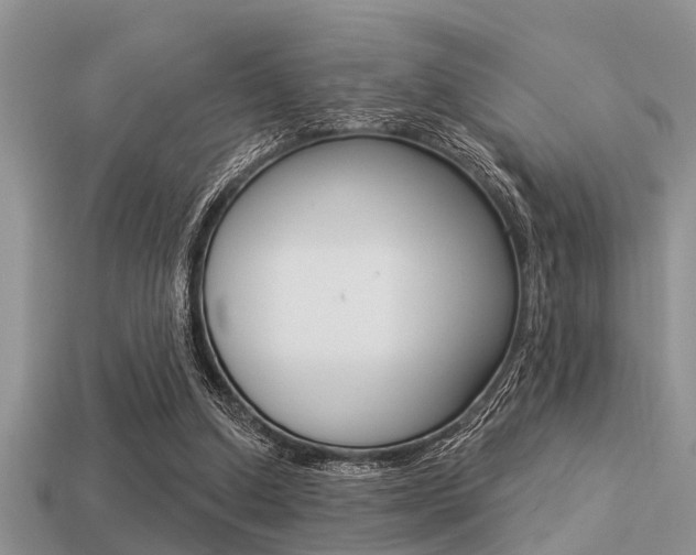 X0000113300250200909140951
