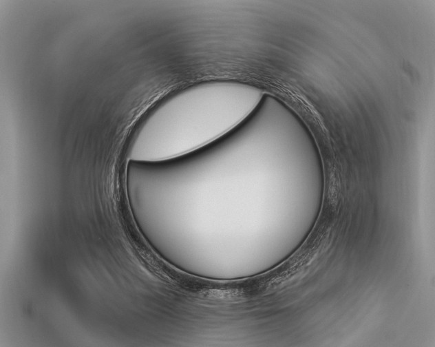 X0000113300251200909140951