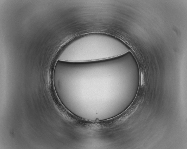 X0000113300253200909140951