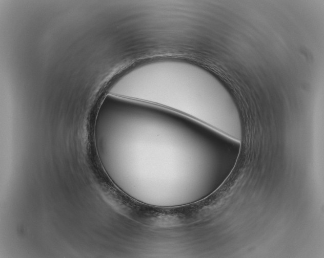X0000113300256200909140951