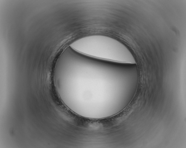 X0000113300258200909140951