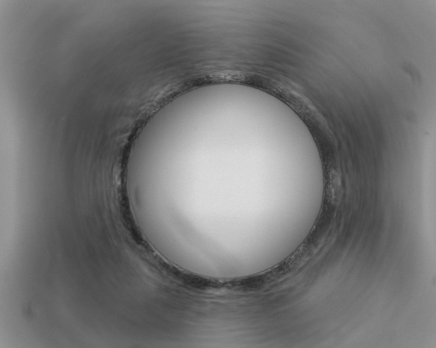X0000113300259200909140951