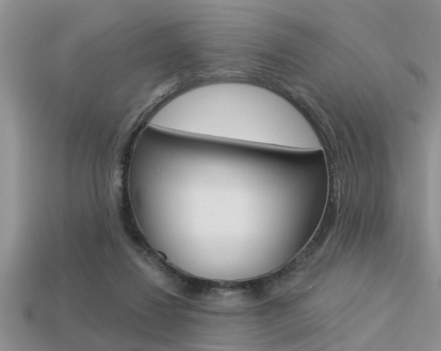 X0000113300260200909140951