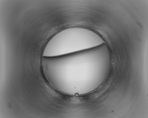 X0000113300261200909140951