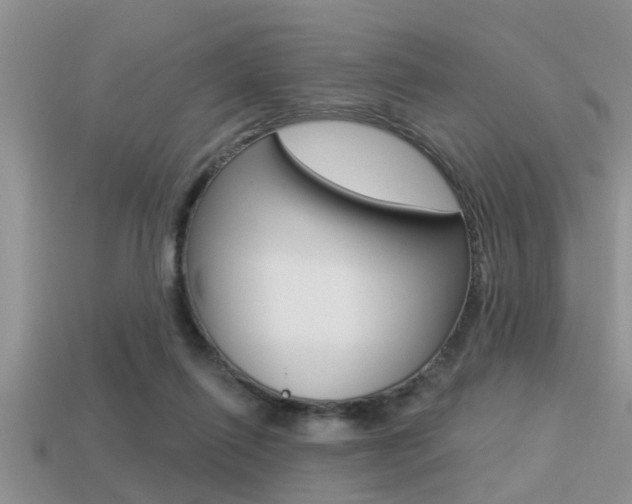 X0000113300262200909140951